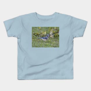 Blue jay, wildlife photography, wild birds Kids T-Shirt